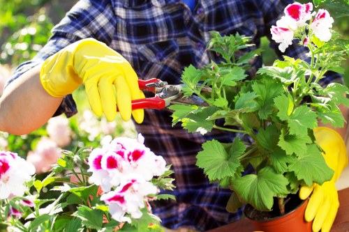 Clean urban surfaces after pressure washing