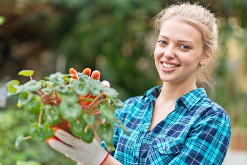 Modern pressure washing machine and eco-friendly cleaning solutions