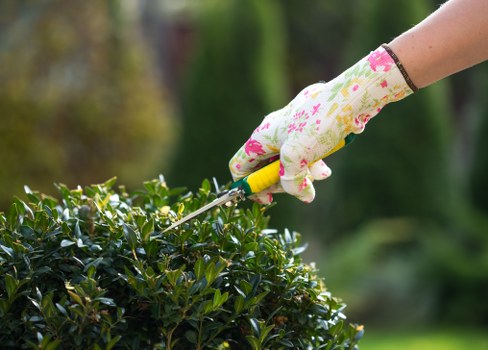 Professional pressure washing equipment in use