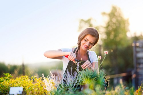 Modern pressure washing technician using eco-friendly cleaning methods