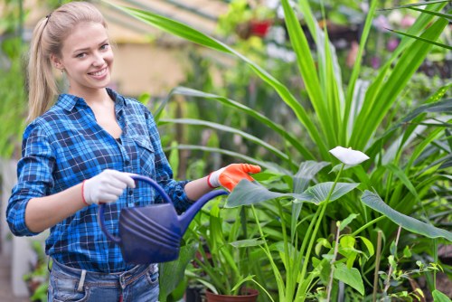 Professional pressure washing equipment in Shadwell