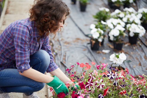 Pressure washing equipment and service in New Eltham