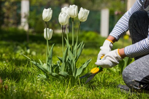 Pressure washing service extending to nearby areas