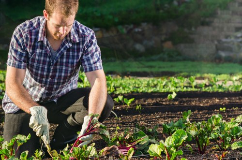 Gardener and pressure washing equipment in use