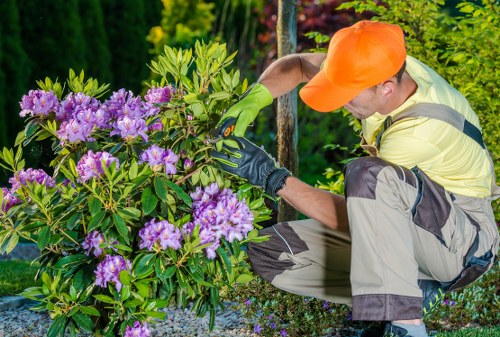 Cleaner garden surface after debris removal