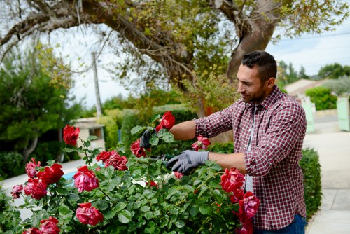 Professional team servicing a lush garden and pristine hardscape