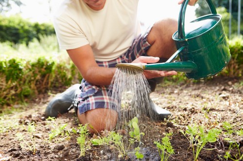 Professional technician using a high-pressure water spray