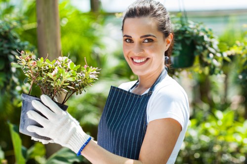 Eco-friendly pressure washing process near Kingsbury homes