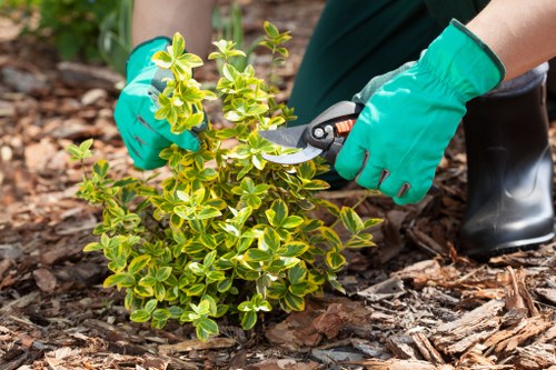 Synergistic outdoor cleaning and turf installation process