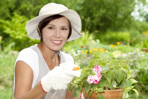 Eco-friendly pressure washing process using modern equipment