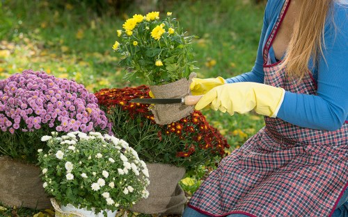 Expert applying pressure washing tips to a home exterior