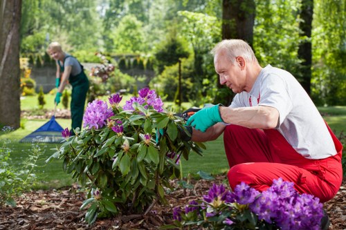 Enhanced outdoor property with clean, well-maintained landscaping