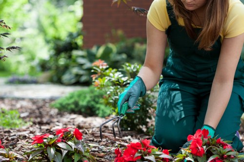 Professional technician using pressure wash in East Barnet