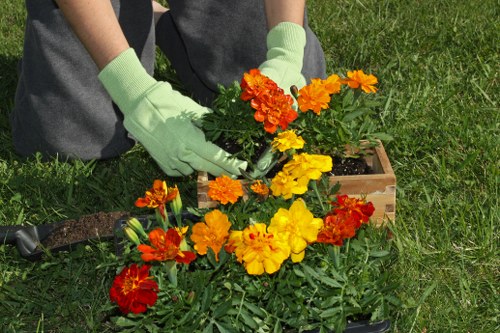 Enhanced curb appeal with integrated garden and pressure washing services