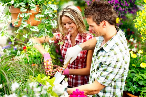 Modern landscaping maintenance scene with professional pressure washing