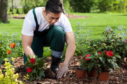 Pressure washing in Chislehurst neighborhood with modern equipment