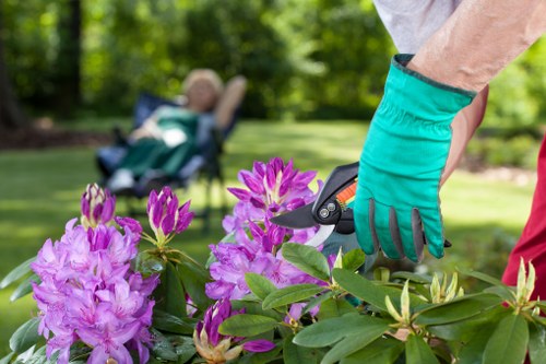 Eco-friendly pressure washing process in action for garden maintenance