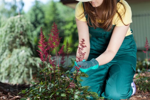 Technician using eco-friendly cleaning agents during a wash