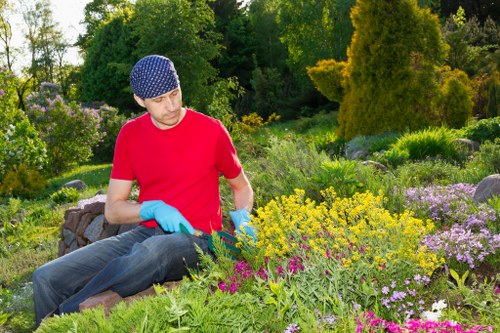 High-pressure cleaning process in garden maintenance