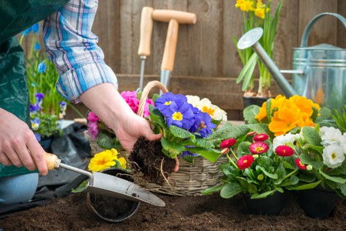 Eco-friendly pressure washing techniques for garden care