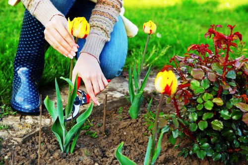 Modern pressure washing tools in a lush, natural environment