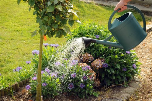 Pressure washing service reviving a clean neighborhood street