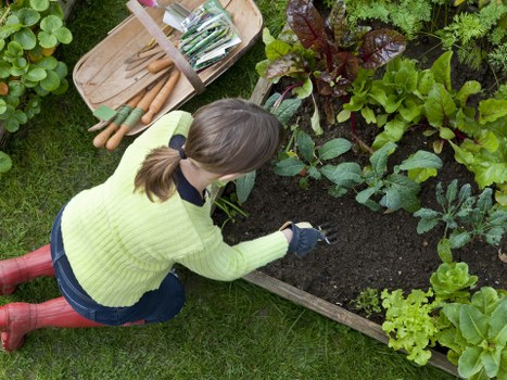 Finished garden decking with a vibrant, clean outdoor look