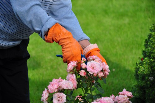 Technician demonstrating safe pressure washing techniques