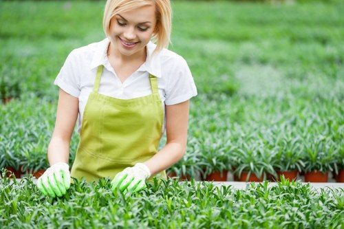 Advanced pressure washing equipment cleaning garden features