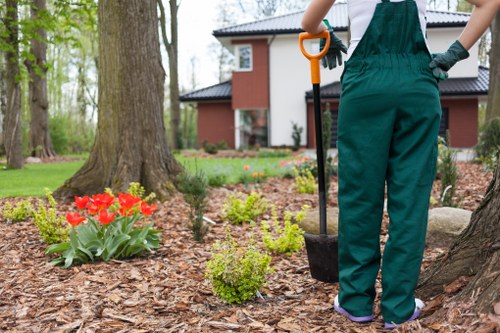 Call-to-action inviting clients to book integrated lawn and cleaning services.