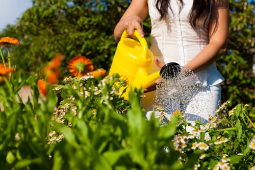 Pressure washing service enhancing curb appeal in Preston