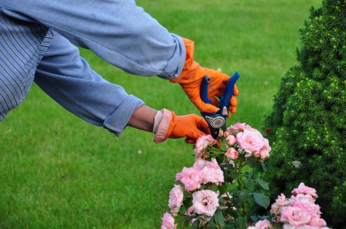 Professional team using power washing tools