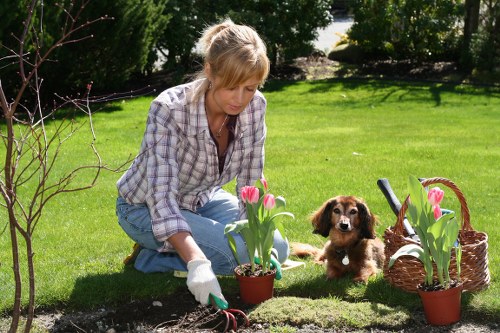 Satisfied homeowner enjoying integrated lawn mowing and pressure washing services