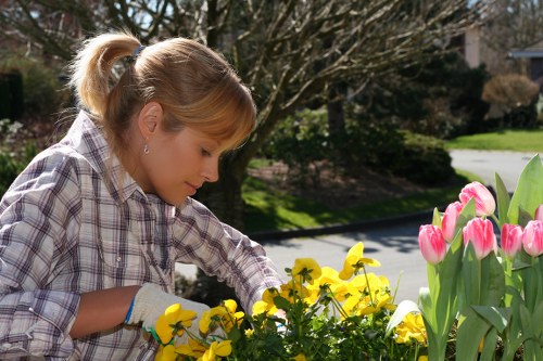 Maintenance checklist for lawn mower and pressure washing services