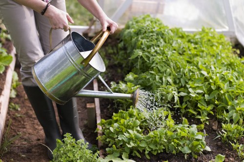 Modern garden maintained with precision pressure washing