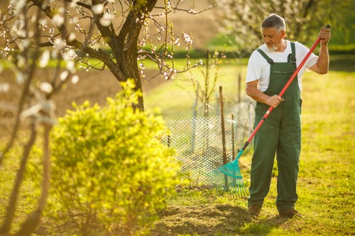 Eco-friendly exterior cleaning methods in a lush garden