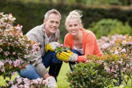 Close-up of eco-friendly cleaning agents used in pressure washing