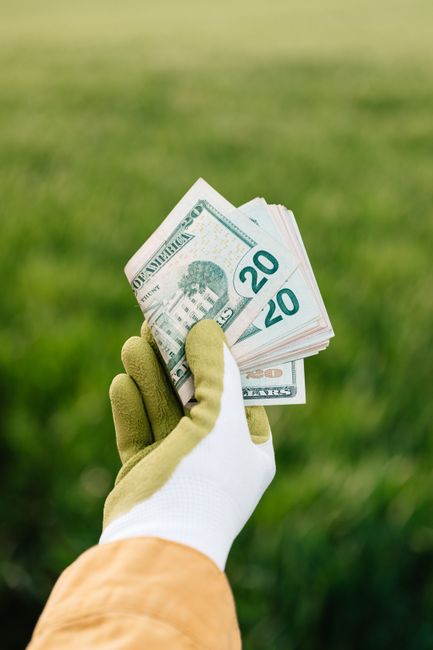 A close-up image of a gloved hand holding a fan of US twenty-dollar bills with a lush, green garden in the background. The garden features a neatly trimmed lawn with vibrant, healthy grass, bordered b